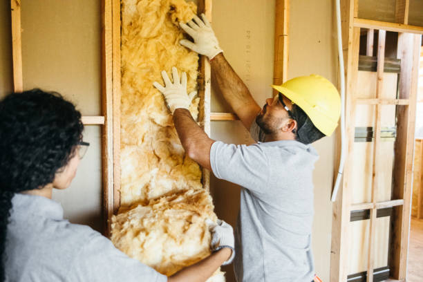 Best Reflective Insulation  in Lakeland Highlands, FL